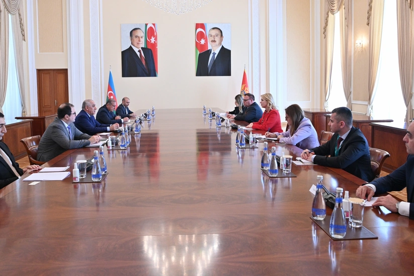 Ali Asadov meets with President of Parliament of Montenegro