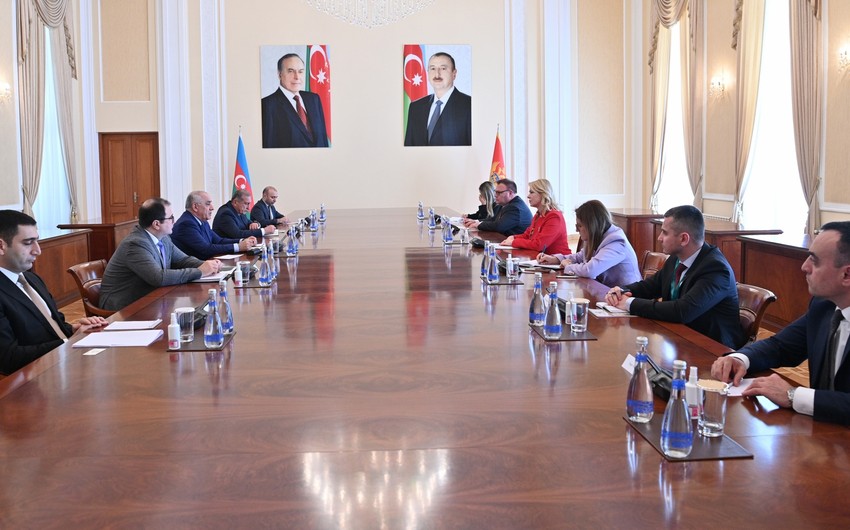 Ali Asadov meets with President of Parliament of Montenegro