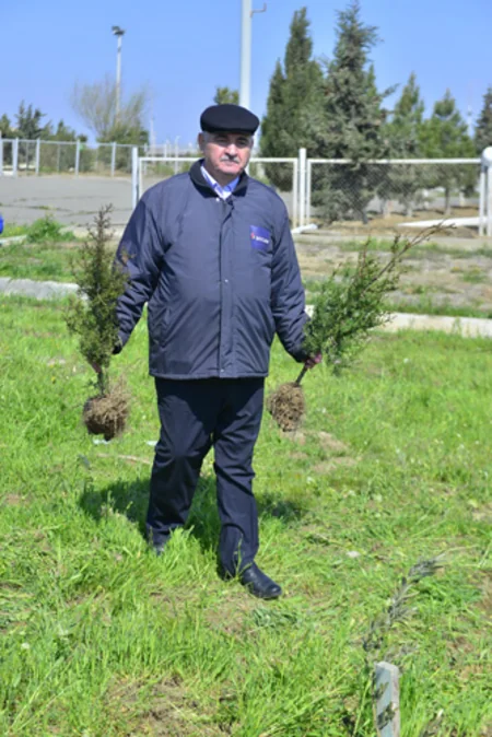 SOCAR əməkdaşları 5 900 ağac əkib