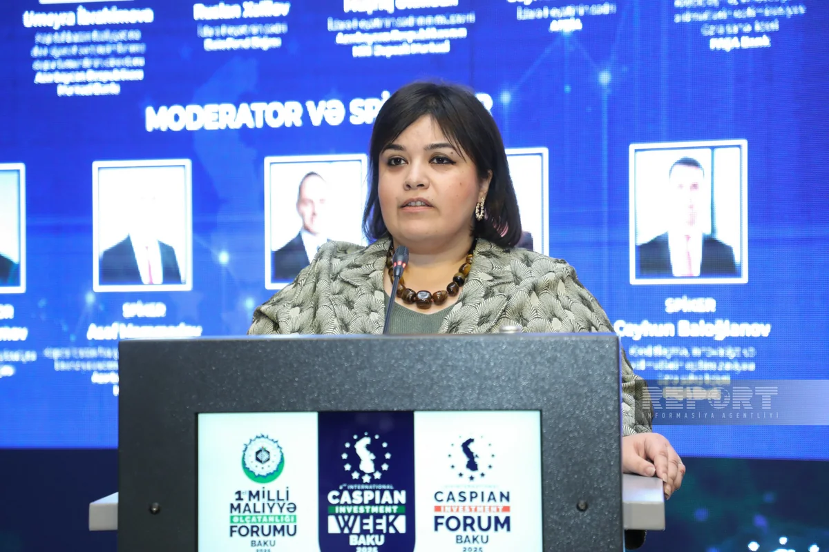 Umeyra Ibrahimova: Capital market dev’t to play key role in stimulating economic growth
