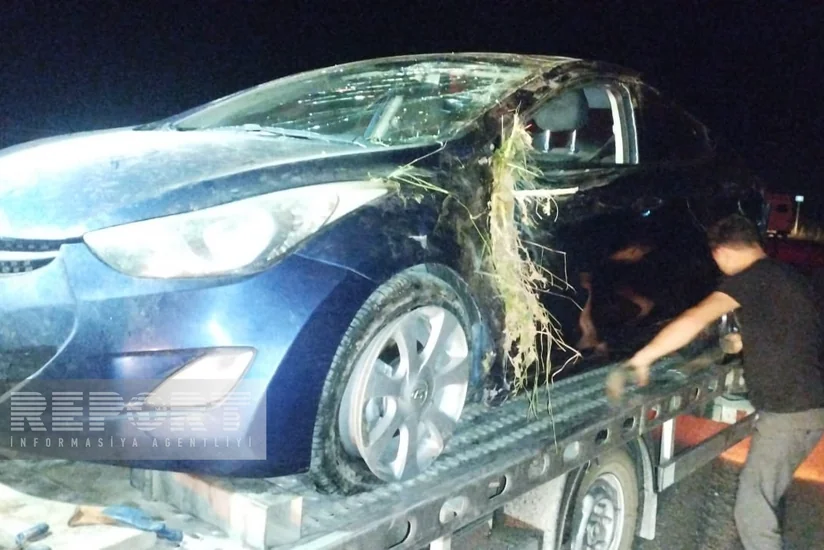 В Кюрдамире перевернулся автомобиль, пострадали два человека