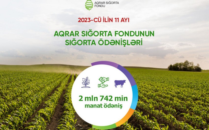 Aqrar Sığorta Fondu 11 ayda fermerlərə 3 milyon manata yaxın ödəniş edib