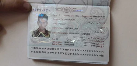 State Customs Service prevents smuggle of narcotic substances from Iran to Azerbaijan - PHOTO