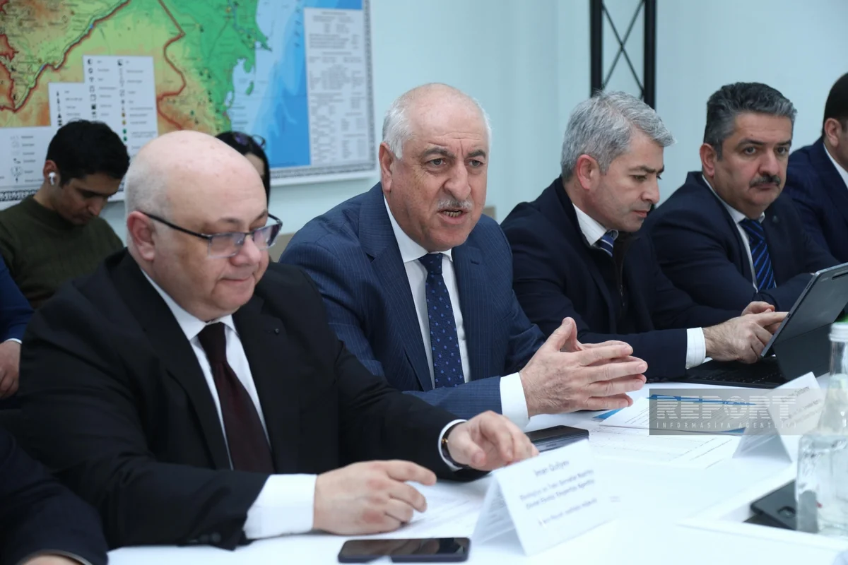 Bakıda 1 650 ağac köçürüləcək