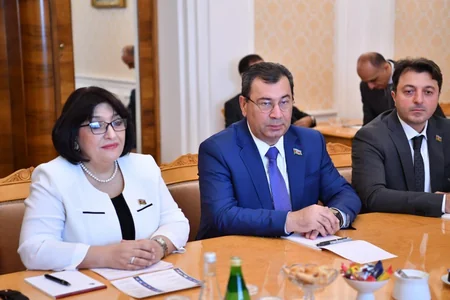 Спикер: Азербайджанский народ не допустит создания на своей территории второго армянского государства