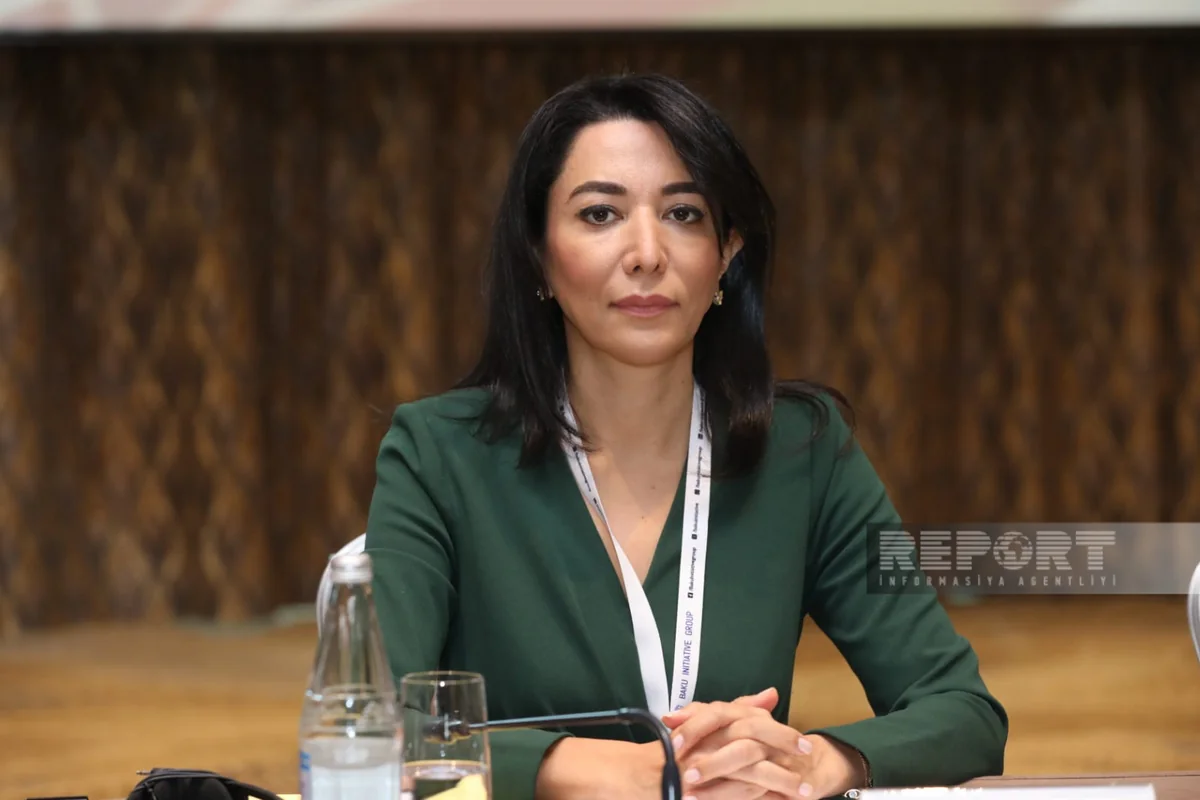 Səbinə Əliyeva: Fransanın siyasəti Cənubi Qafqazda yeni münaqişə ocaqlarının yaranmasına yönəlib
