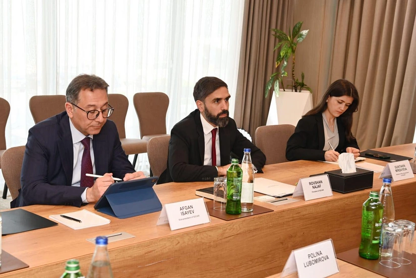 SOCAR and ACWA Power discuss cooperation on green hydrogen production