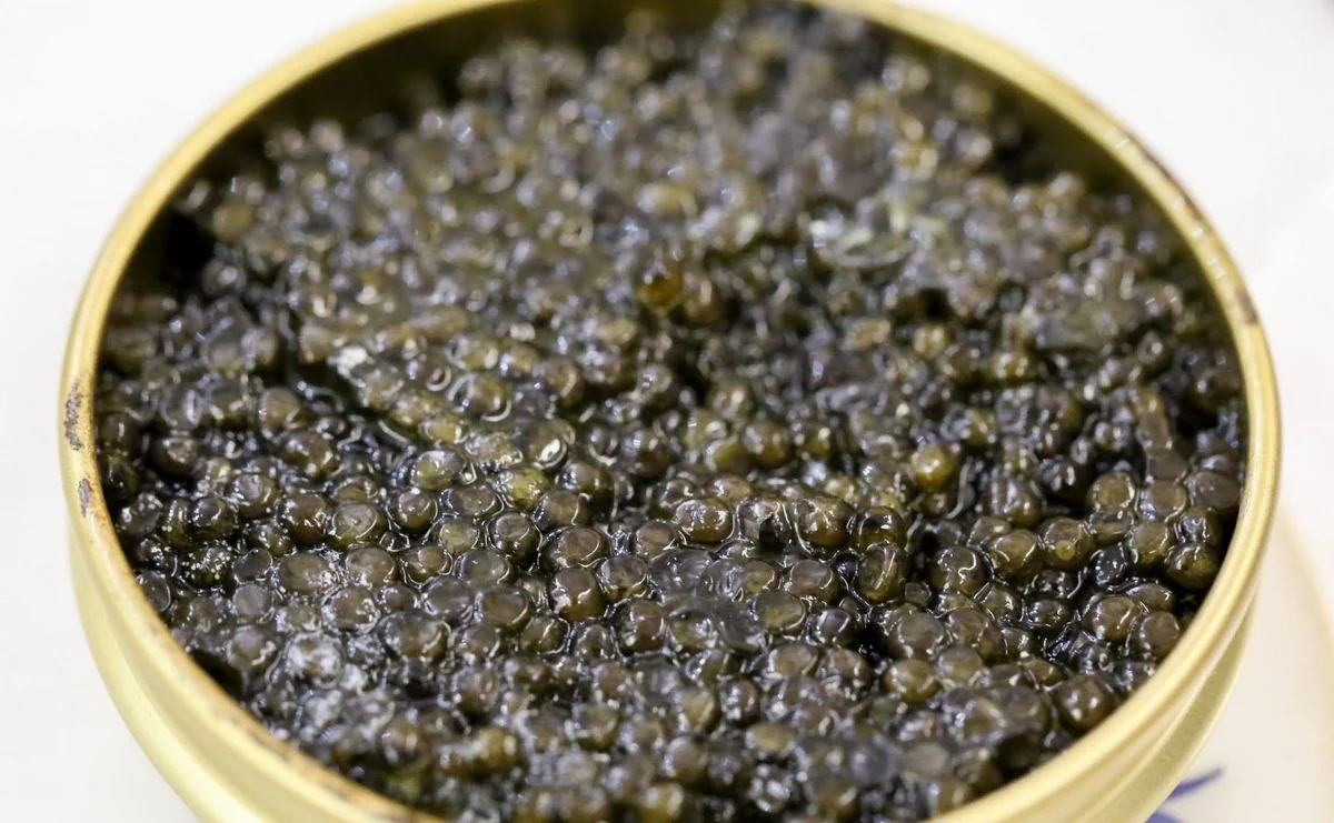 Black caviar: How to distinguish real Caspian caviar from fake Chinese caviar? – PHOTO