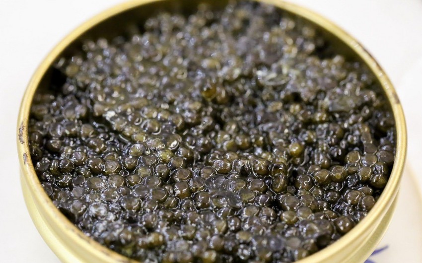 Black caviar: How to distinguish real Caspian caviar from fake Chinese caviar? – PHOTO
