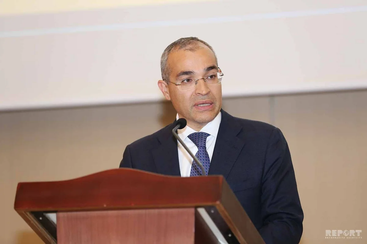 Minister: Pandemic causes huge damage to Azerbaijan’s economy