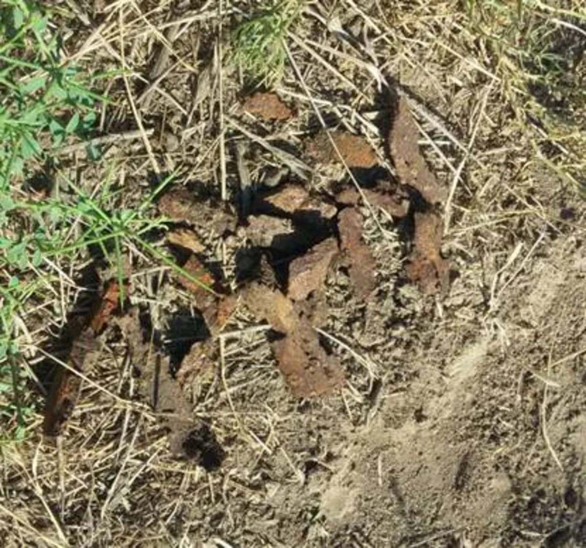 Ağdam rayonunda top mərmilərinin qalıqları aşkar edilib