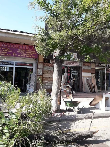 Bakıda güclü külək bir sıra fəsadlar törədib - FOTO - YENİLƏNİB