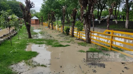 Qaxda leysan olub, çay daşıb, restoran və evlərin həyətlərini su basıb