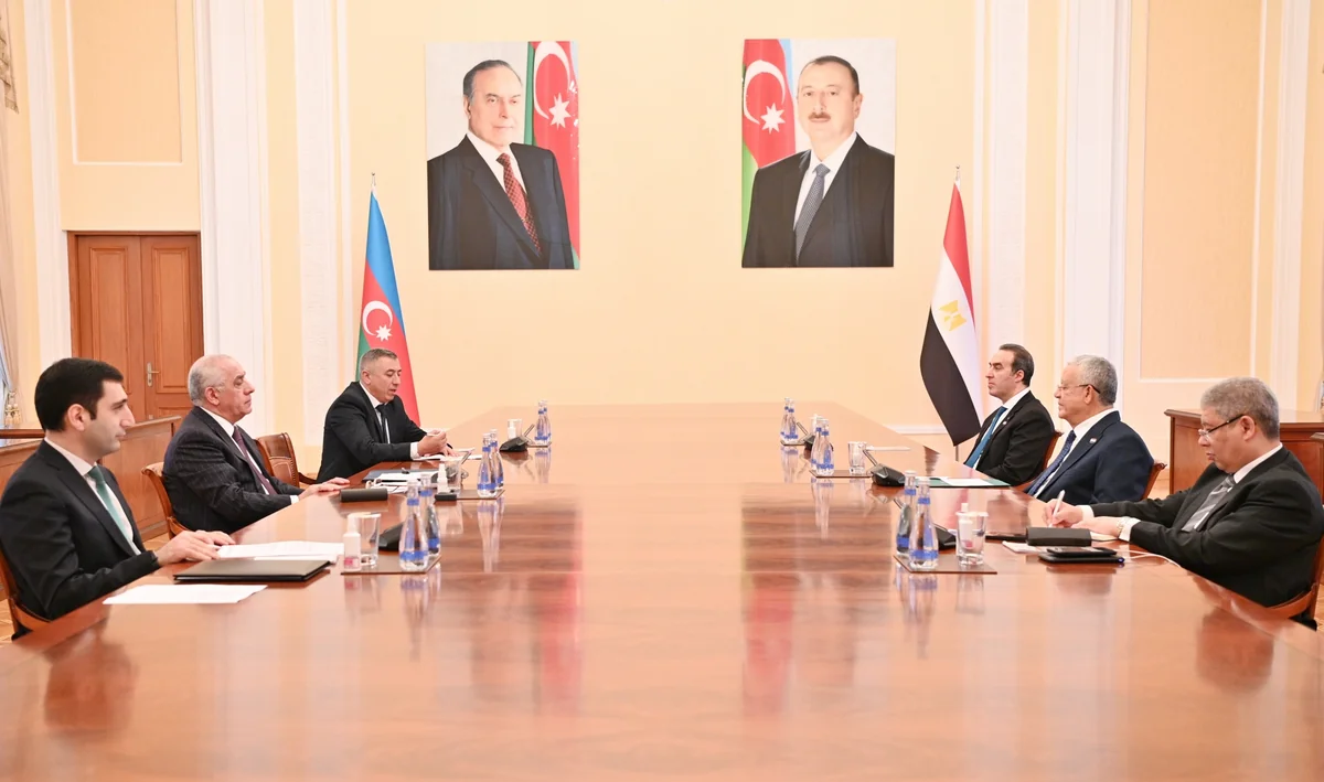 Əli Əsədov Misir parlamentinin Nümayəndələr Palatasının sədri ilə görüşüb