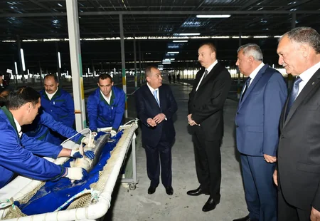 Yevlaxda balıqartırma müəssisəsi istifadəyə verilib