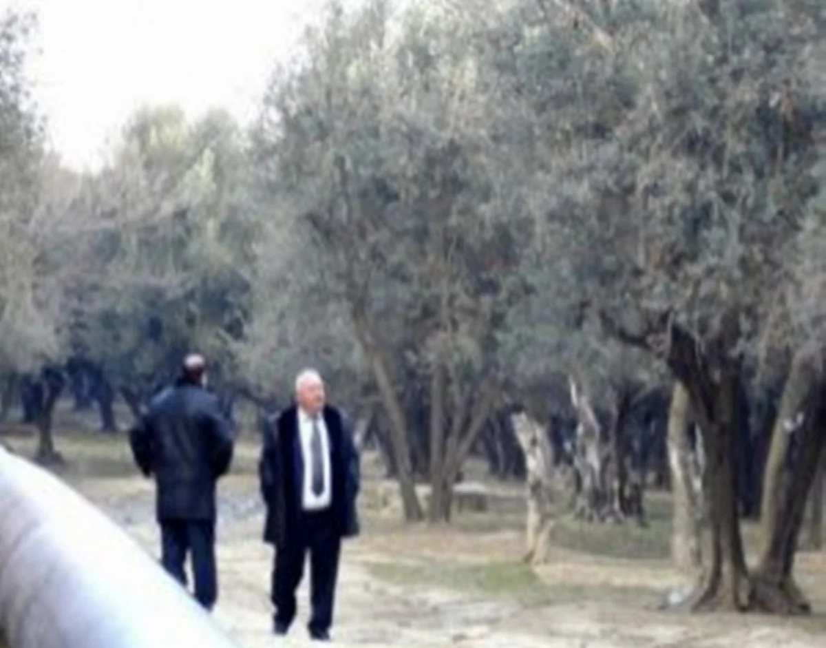 AMEA Akif Çovdarovla bağlı məlumatlarda Dendralogiya İnstitutunun adının hallandırılmasına münasibət bildirib