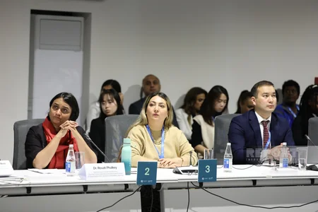 В рамках COP29 состоялся круглый стол высокого уровня по вопросам детей, молодежи и климатических действий