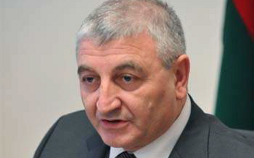 Məzahir Pənahov: Müşahidəçilik fəaliyyəti üçün hərtərəfli və geniş imkanlar yaradılıb