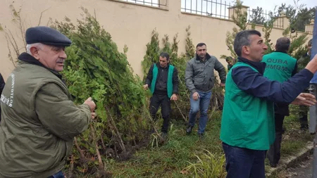 Respublika üzrə ümumilikdə 120 minə yaxın pulsuz ağac tingi paylanılıb
