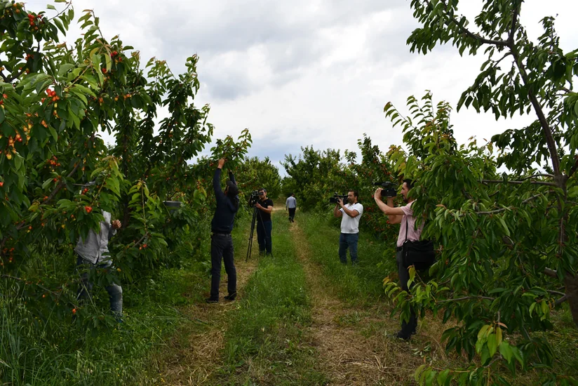 Azərbaycanda 51 aqropark yaradılacaq