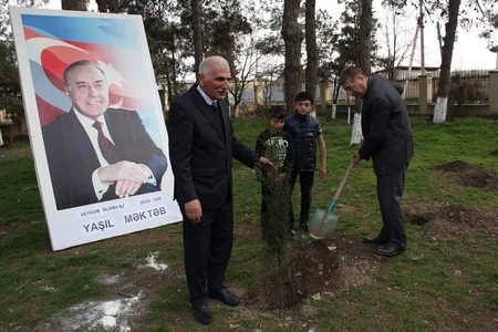 Cəlilabadda ağacəkmə aksiyası keçirilib