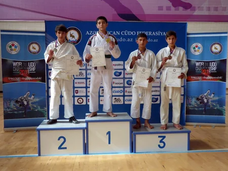 Yeniyetmə cüdoçuların Cənub regional birinciliyinə yekun vurulub
