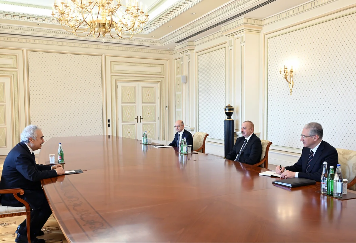 Президент Ильхам Алиев принял исполнительного директора МЭА
