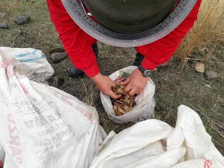 Qazaxda 8356 patron tapılıb