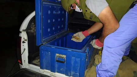 Ağdamda əl qumbarası aşkarlanıb