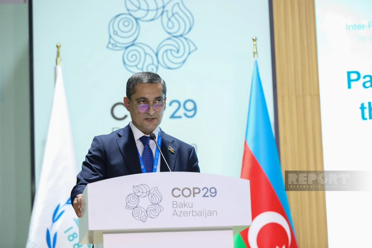 Bakıda COP29 çərçivəsində keçirilən Parlament Görüşündə yekun sənəd qəbul olunub - YENİLƏNİB