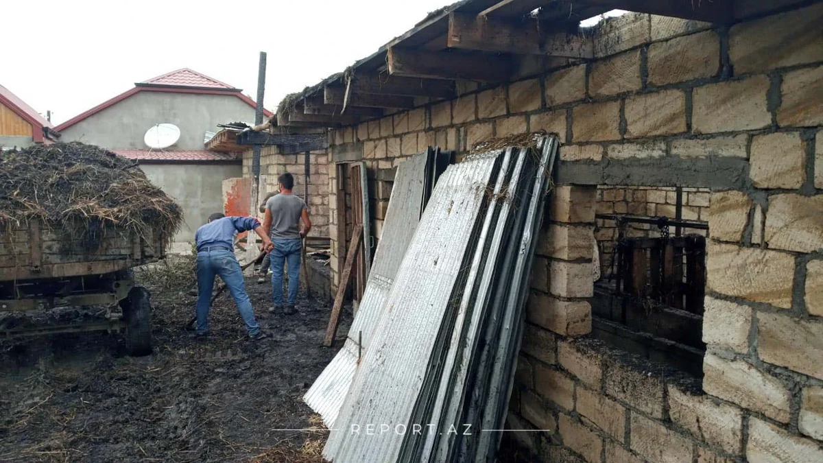 Qubanın kəndində ikinci yanğın başlayıb