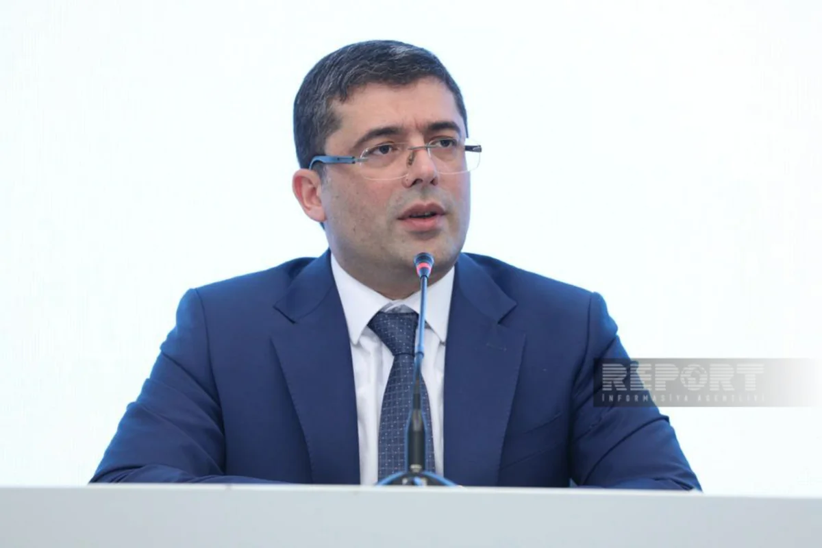 İcraçı direktor: “Reyestrdən keçmək üçün media subyektlərinin kifayət qədər vaxtı var”