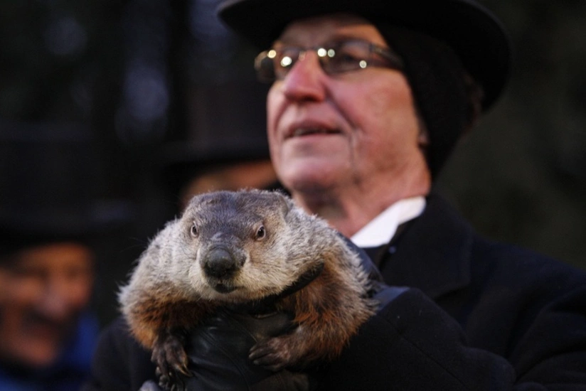 В США отмечается День сурка