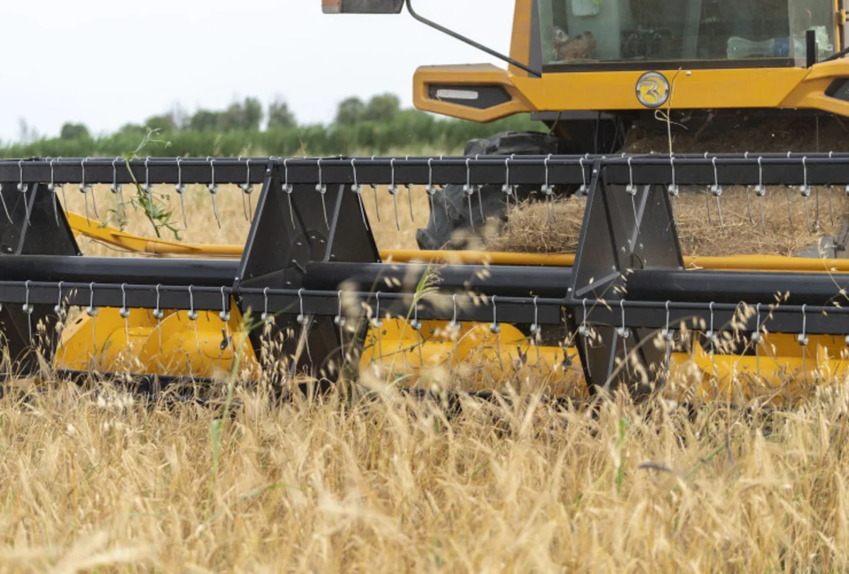 Nazirlik: Arpa sahələrinin 29 %-də biçin yekunlaşıb