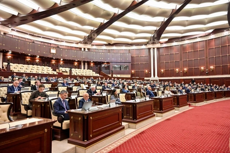 Konstitusiyanın 30 illiyi ilə bağlı yubiley medalı təsis ediləcək