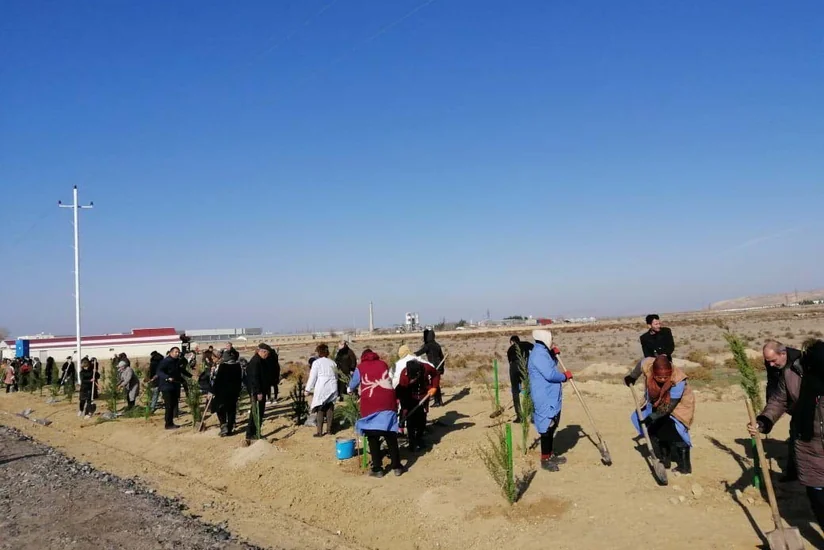 Payız ağacəkmə kampaniyası Şirvan şəhərində davam etdirilib