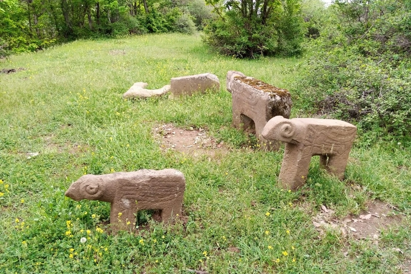 Azərbaycanda ilk dəfə daş buğa fiqurları aşkarlanıb