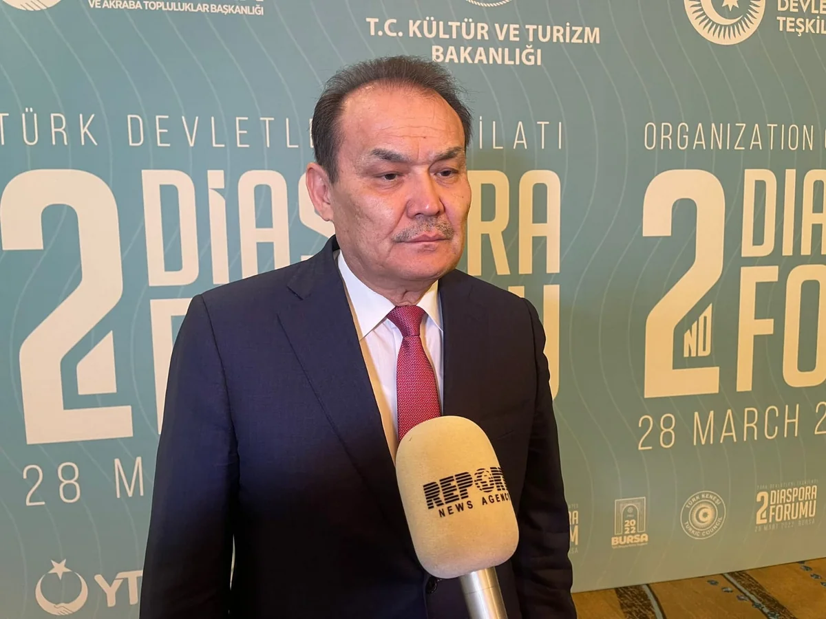 Bağdad Amreyev: Türk dövlətlərinin diaspor təşkilatları 20 milyondan çox türkü birləşdirir