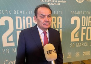 Багдад Амреев: Диаспорские организации тюркских государств объединяют более 20 млн турок