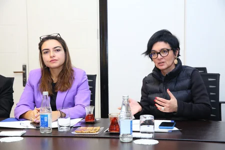 В рамках подготовки к COP29 состоялась встреча с представителями НПО и экспертами