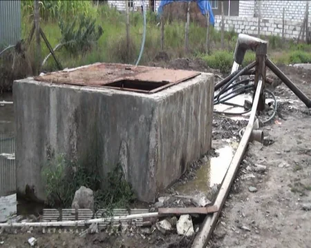 ​Ağstafada ev quşları arasında xəstəlik yayılıb - FOTO