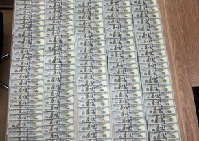 Naxçıvanda evdən 22 min dollar oğurlayan şəxslər saxlanılıblar