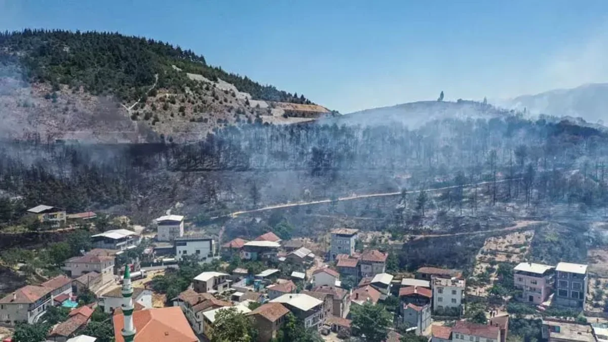 Türkiyədə güclü yanğın olub, 100 nəfər təxliyə edilib