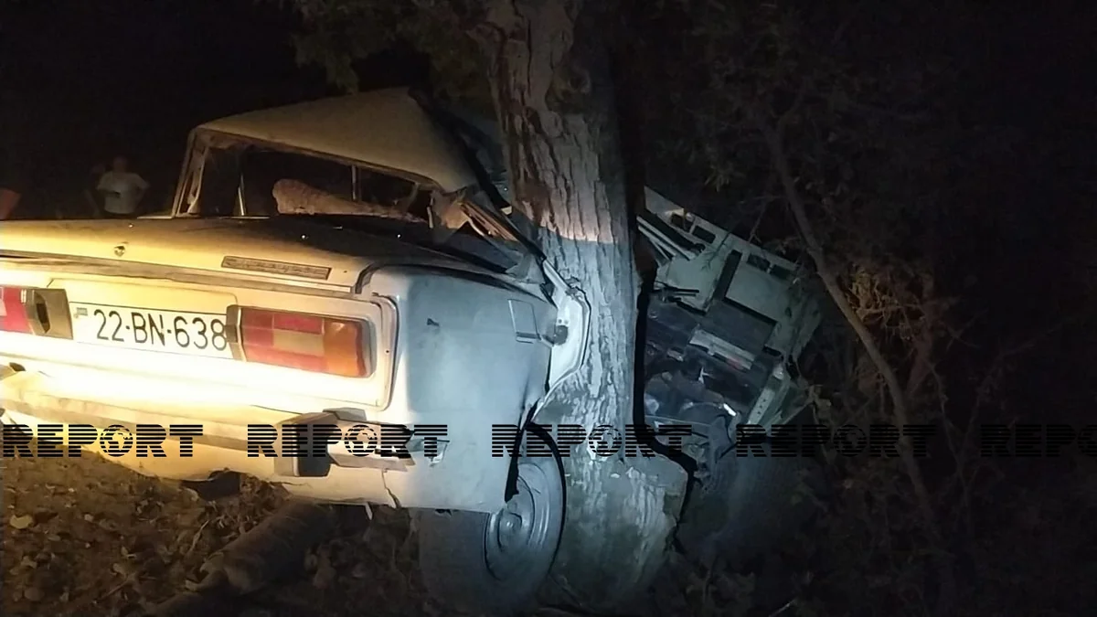 Oğuzda avtomobil ağaca çırpılıb, xəsarət alanlar var