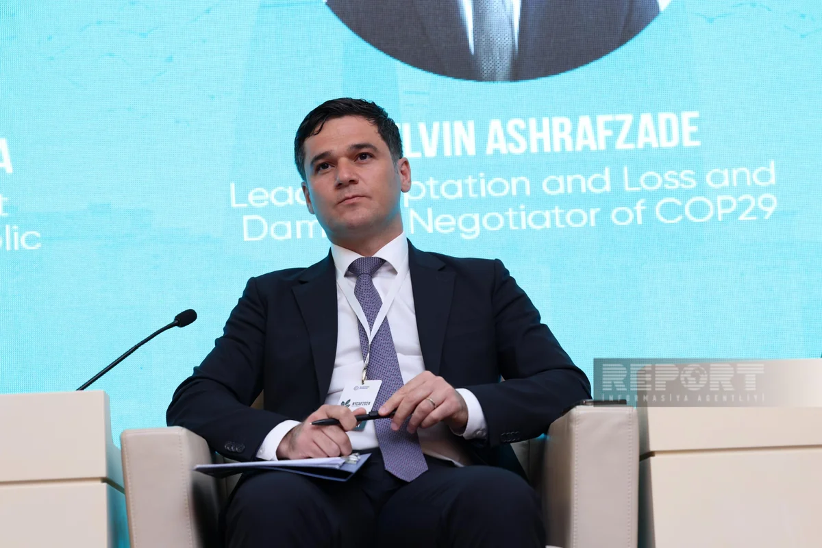 Ashrafzade: Inclusiveness one of important principles of COP29 ...