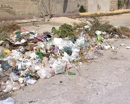 Bakıda çimərliklərin icarədarları məsuliyyətə cəlb olunublar - SİYAHI
