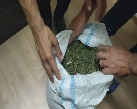 Qaxda 10 kq narkotik vasitə dövriyyədən çıxarılıb, 5 nəfər tutulub