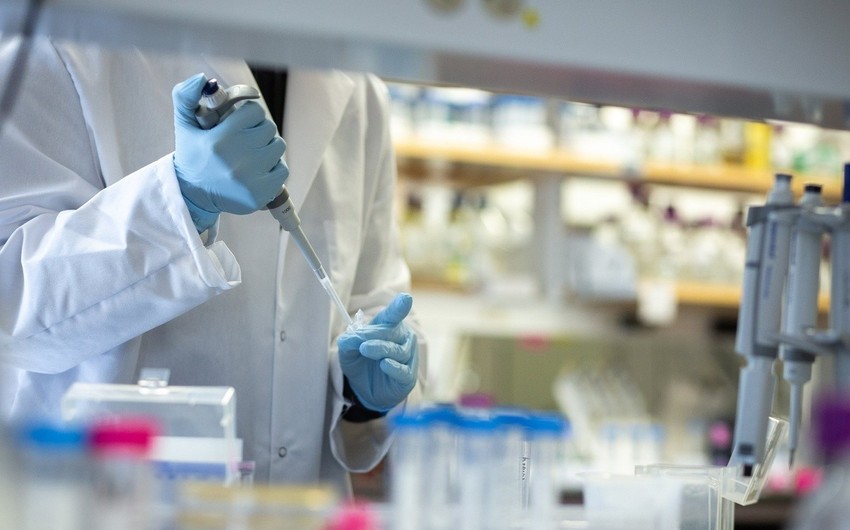 TƏBİB özəl laboratoriyalarla bağlı məsələyə aydınlıq gətirdi