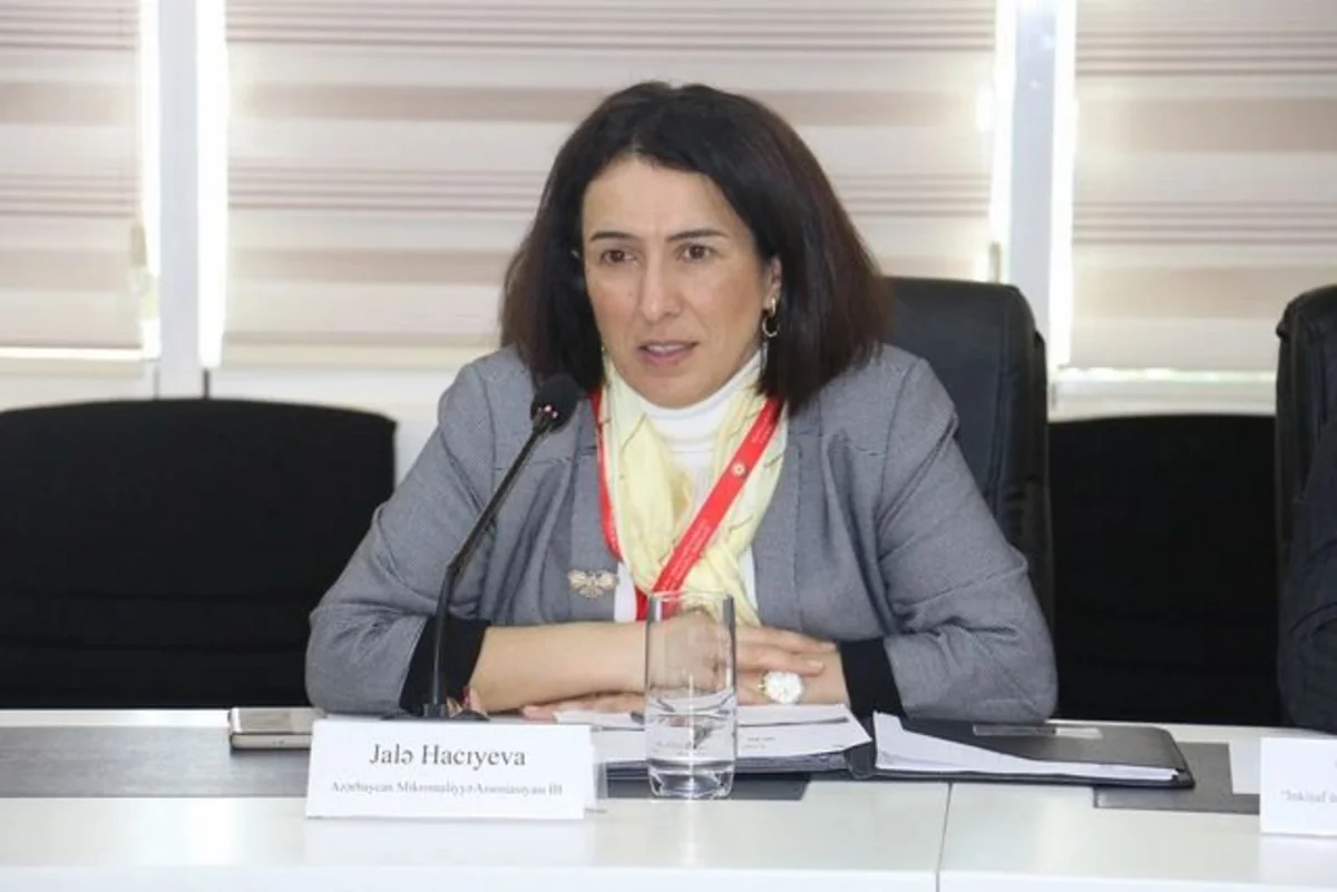 AMFA: Mikromaliyyələşdirmədə etik standartlara riayət olunmalıdır