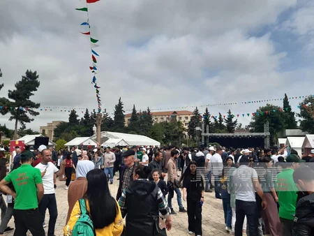 Cəlilabadda II çiyələk festivalı başlayıb
